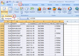 Insert the Pivot Table