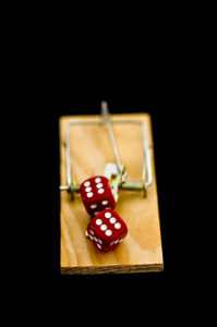 Gambling Mouse Trap